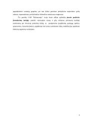 Marketingo strategijos parengimas UAB "Baliomanija" 6 puslapis