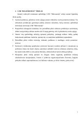 Marketingo strategijos parengimas UAB "Baliomanija" 7 puslapis