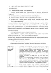 Marketingo strategijos parengimas UAB "Baliomanija" 8 puslapis