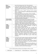 Marketingo strategijos parengimas UAB "Baliomanija" 9 puslapis