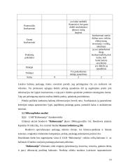 Marketingo strategijos parengimas UAB "Baliomanija" 10 puslapis