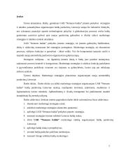 Marketingo strategijos planavimas organizuojant naujų automobilių pardavimą Lietuvoje 2 puslapis