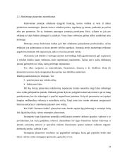 Marketingo strategijos planavimas organizuojant naujų automobilių pardavimą Lietuvoje 14 puslapis