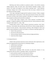 Marketingo strategijos planavimas organizuojant naujų automobilių pardavimą Lietuvoje 20 puslapis