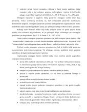 Marketingo strategijos planavimas organizuojant naujų automobilių pardavimą Lietuvoje 5 puslapis