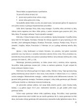Marketingo strategijos planavimas organizuojant naujų automobilių pardavimą Lietuvoje 10 puslapis