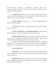 Gamybos priemonės ir procesas 2 puslapis