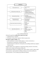 Gamybos proceso organizavimas 11 puslapis