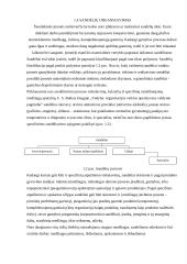 Gamybos proceso organizavimas 10 puslapis