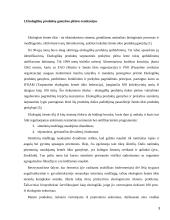 Ekologiškų produktų rinkodaros ypatumai 3 puslapis
