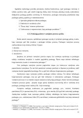 Lietuvos kaimo turizmo paslaugų ypatumų tyrimas ir perspektyvos 12 puslapis