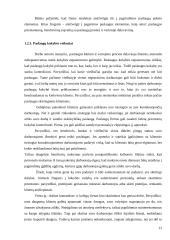 Lietuvos kaimo turizmo paslaugų ypatumų tyrimas ir perspektyvos 13 puslapis