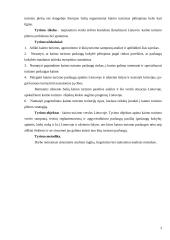 Lietuvos kaimo turizmo paslaugų ypatumų tyrimas ir perspektyvos 3 puslapis