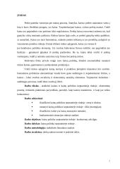 Kainų politika tarptautinėje rinkoje 2 puslapis