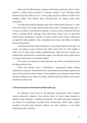 Kainų politika tarptautinėje rinkoje 14 puslapis