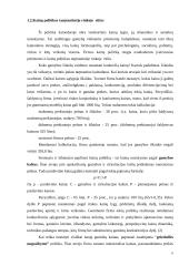 Kainų politika tarptautinėje rinkoje 6 puslapis