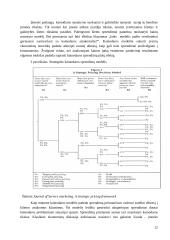 Kainodaros metodų taikymas įmonėje X 13 puslapis