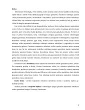 Kainų užsienio rinkose koordinavimas 2 puslapis