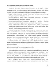 Kainų užsienio rinkose koordinavimas 13 puslapis