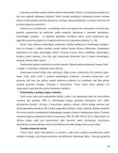 Kainų užsienio rinkose koordinavimas 16 puslapis