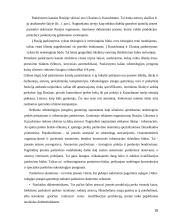 Kainų užsienio rinkose koordinavimas 18 puslapis