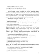 Kainų užsienio rinkose koordinavimas 3 puslapis