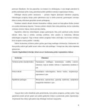 Kainų užsienio rinkose koordinavimas 6 puslapis