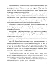 Kainų užsienio rinkose koordinavimas 7 puslapis