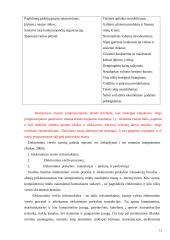 Interneto įtaka pirkėjų ir pardavėjų santykiams. Referatas 15 puslapis