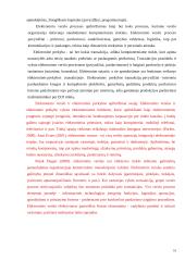 Interneto įtaka pirkėjų ir pardavėjų santykiams. Referatas 16 puslapis