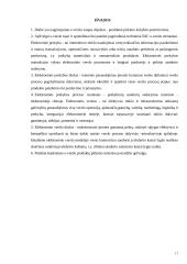 Interneto įtaka pirkėjų ir pardavėjų santykiams. Referatas 17 puslapis