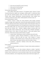 Įmonės kainodara kaip marketingo komplekso elementas 13 puslapis