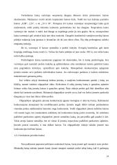 Įmonės kainodara kaip marketingo komplekso elementas 15 puslapis
