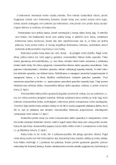 Įmonės kainodara kaip marketingo komplekso elementas 5 puslapis