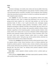 Kainodaros strategija eksporto strategijoje 2 puslapis