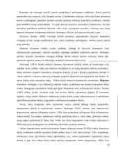 Kainodaros strategija eksporto strategijoje 12 puslapis