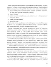 Kainodaros strategija eksporto strategijoje 15 puslapis