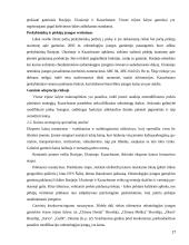 Kainodaros strategija eksporto strategijoje 17 puslapis