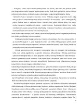 Kainodaros strategija eksporto strategijoje 18 puslapis