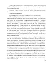 Kainodaros strategija eksporto strategijoje 20 puslapis