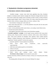 Kainodaros strategija eksporto strategijoje 3 puslapis