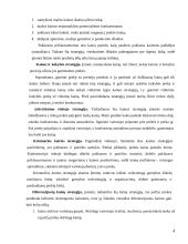 Kainodaros strategija eksporto strategijoje 4 puslapis