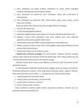 Kainodaros strategija eksporto strategijoje 5 puslapis