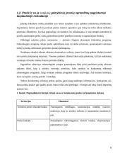 Kainodaros strategija eksporto strategijoje 6 puslapis