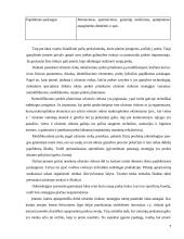 Kainodaros strategija eksporto strategijoje 7 puslapis