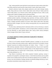 Kainodaros strategija eksporto strategijoje 10 puslapis