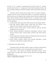 Viešbučio “Linėja” rinkodaros komunikacijos tobulinimas 8 puslapis