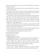 Gaminamos ir rea­lizuojamos produkcijos konkurencingumas 12 puslapis