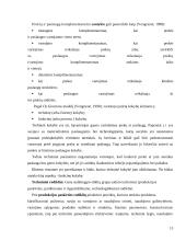 Gaminamos ir rea­lizuojamos produkcijos konkurencingumas 13 puslapis