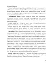 Gaminamos ir rea­lizuojamos produkcijos konkurencingumas 14 puslapis